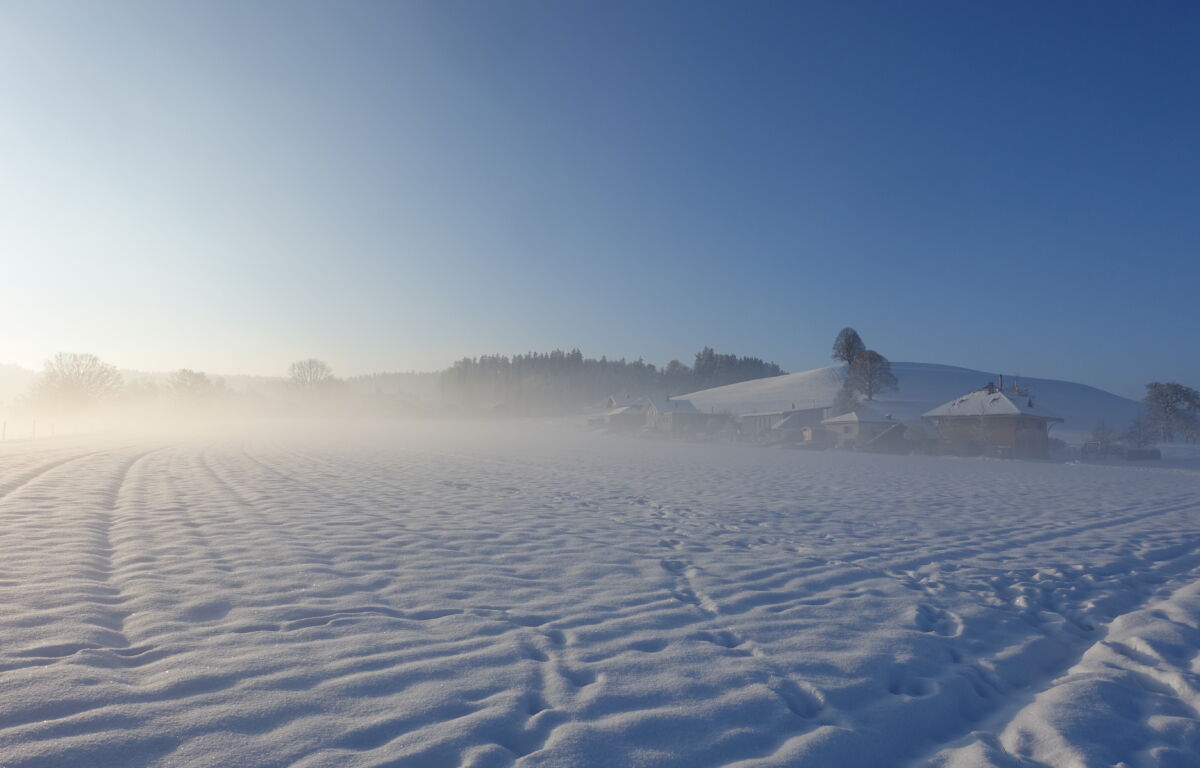 Winter Nebel Siedlung