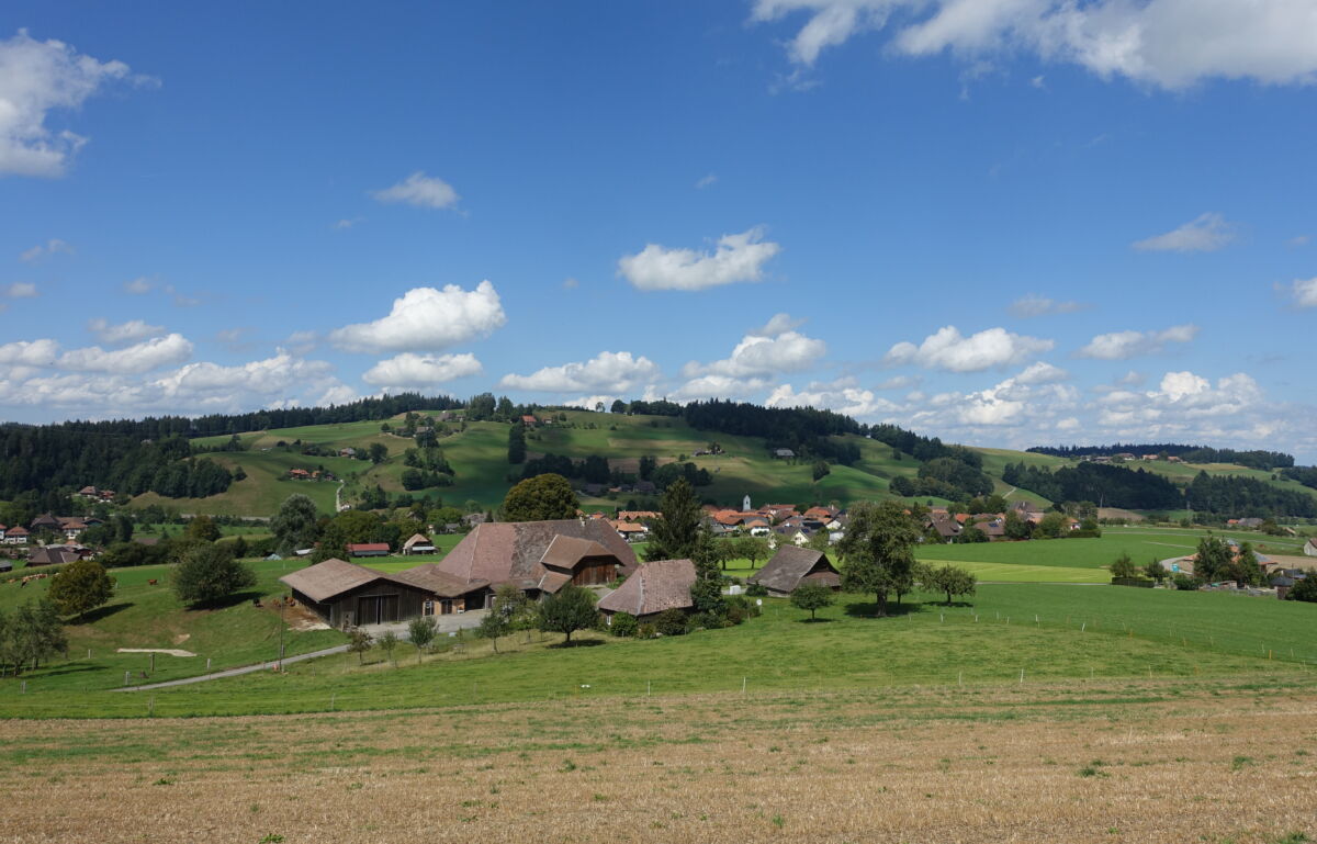 Bauernhof mit Dorf im Hintergrund